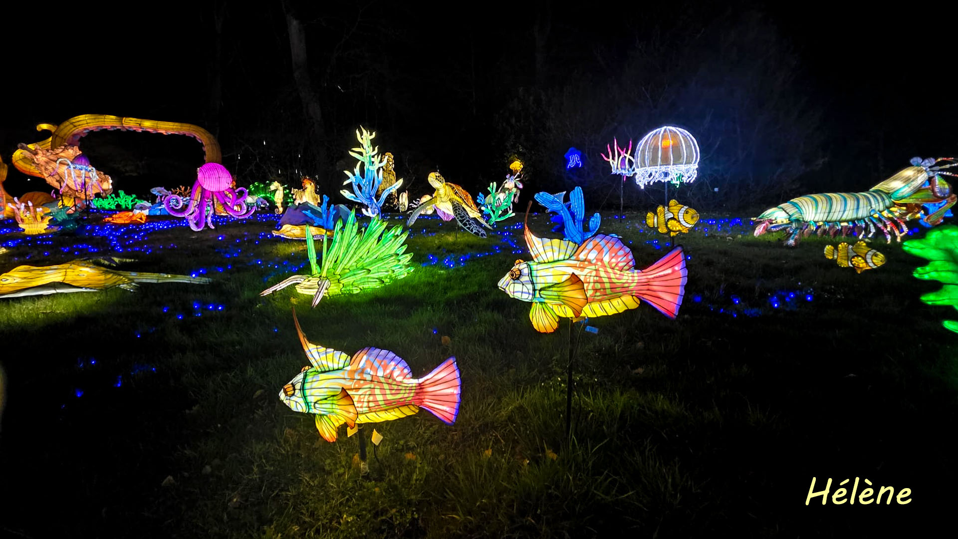 THOIRY -Illumination ,  Lumières sauvages 2025-2026